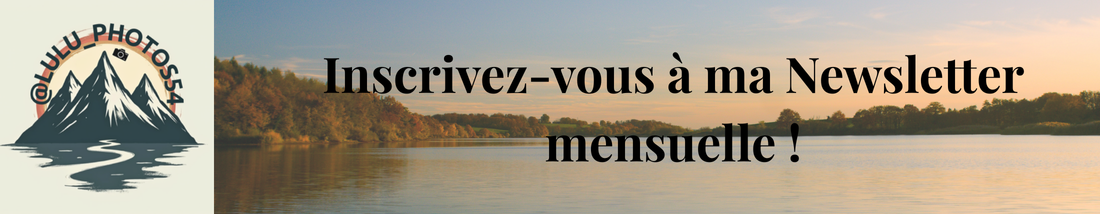 Lien pour la newsletter mensuelle