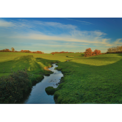 Ruisseau automnal dans les...